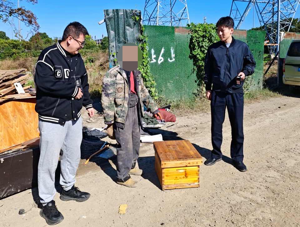 惊！71岁大爷捡废品竟引来蜜蜂大军，真相让人哭笑不得  第4张