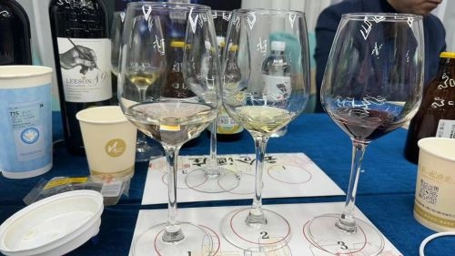 云仓酒庄绵阳公司举办初级品酒师培训，经销商齐聚一堂，共襄盛举  第5张