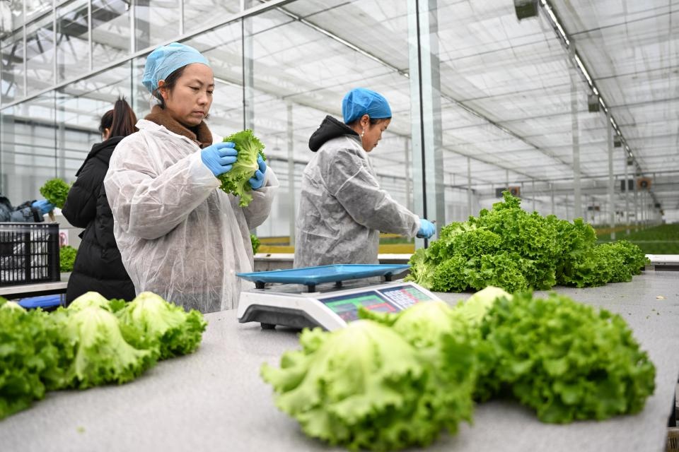 揭秘内蒙古现代数字农业科技产业园：数字化如何改变传统农业？  第2张