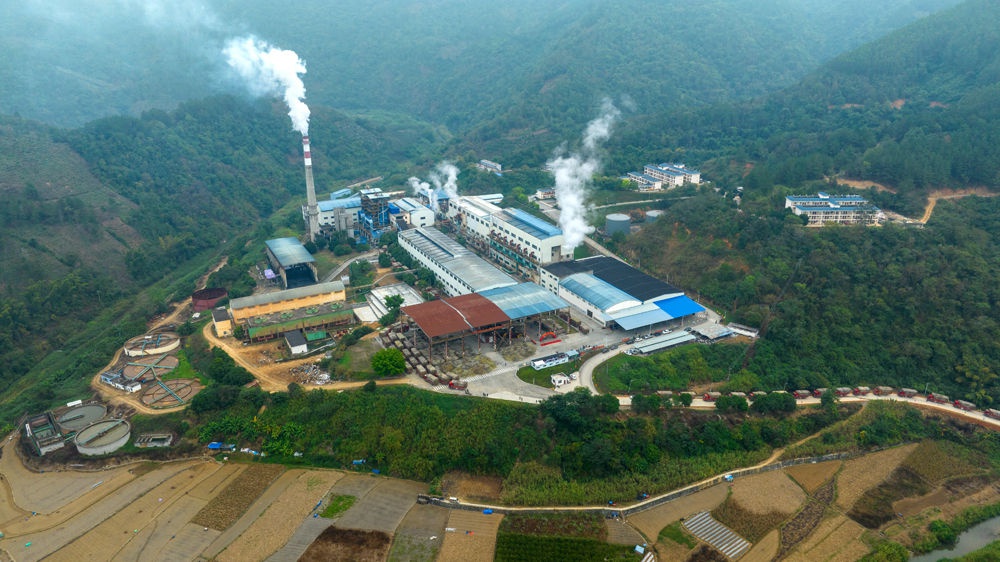 揭秘田林县甘蔗采收季：62万吨甘蔗如何变身8万吨甜蜜食糖？  第2张