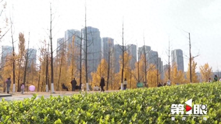 重庆入冬大戏：19个区县已入冬，中心城区为何还在‘掉队’？  第1张