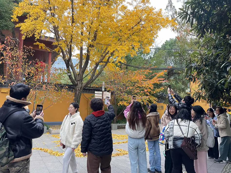 龙华寺惊现银杏艺术！猫咪、金龙栩栩如生，网友：高手在民间  第4张