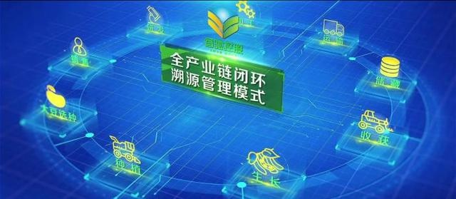 2024粮油产业发展大会揭秘：香驰控股如何引领中国粮油新篇章？  第4张