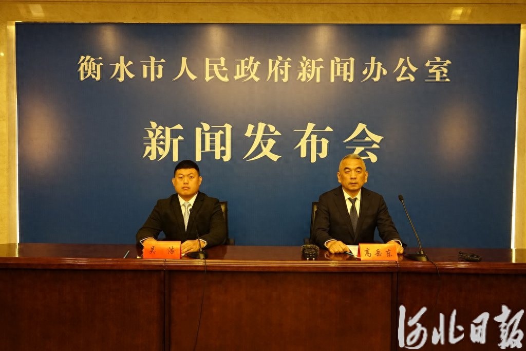 衡水企业养老保险参保人数暴涨64%！2024年福利大升级，你还在等什么？  第1张
