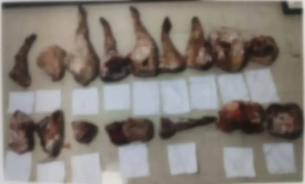 一人三狗猎杀野猪，唐某的疯狂捕猎之路：贪欲如何让他走向法网？  第3张