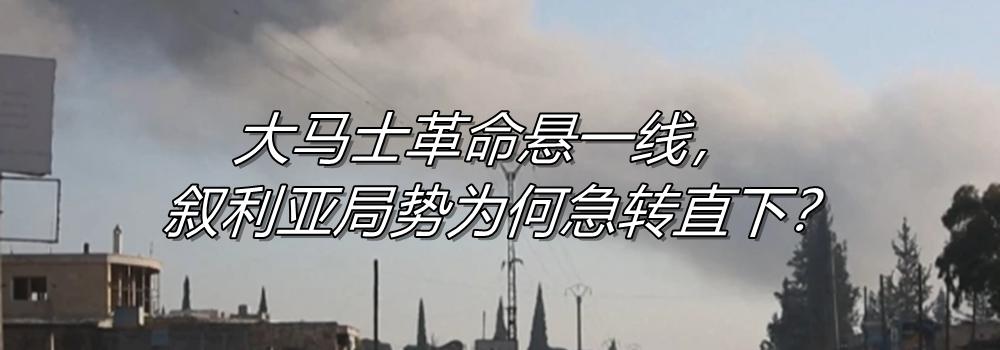 6万元买小马只为女儿圆梦，1岁半小马成家中新宠，还能帮忙干活  第4张