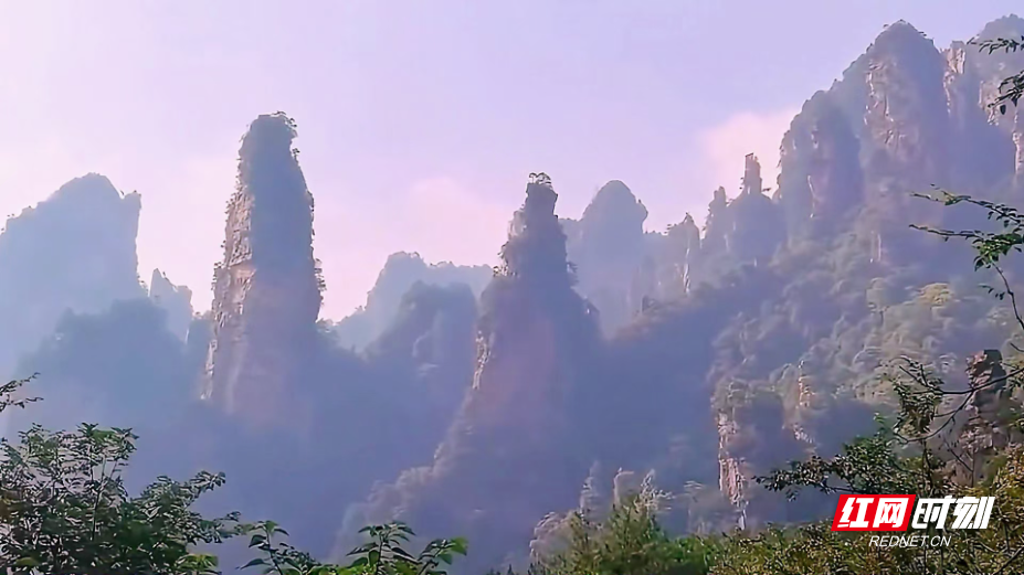 张家界十里画廊：重阳节的绝美仙境，你去过吗？  第3张