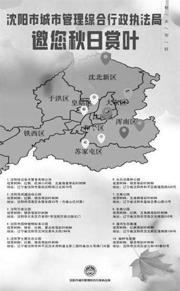 10 月 15 日起，沈阳这些地方将美成仙境！错过等一年  第1张