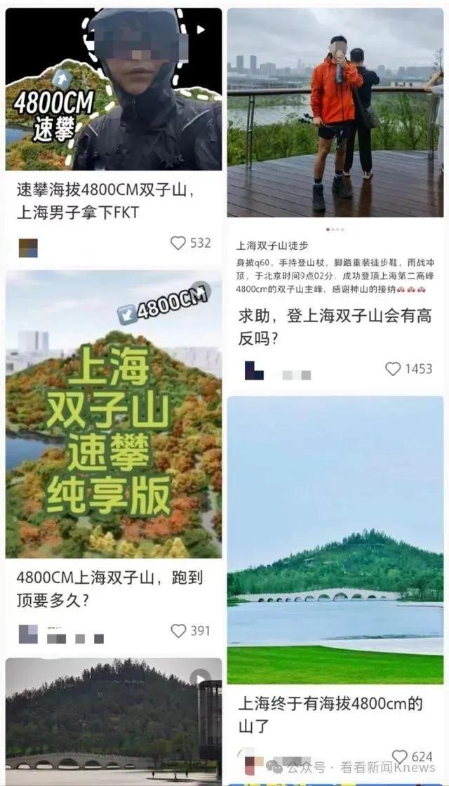 一夜变黄的草坪，背后原因竟然是这样  第11张