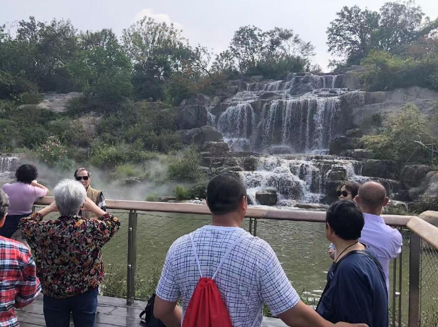 一夜变黄的草坪，背后原因竟然是这样  第4张