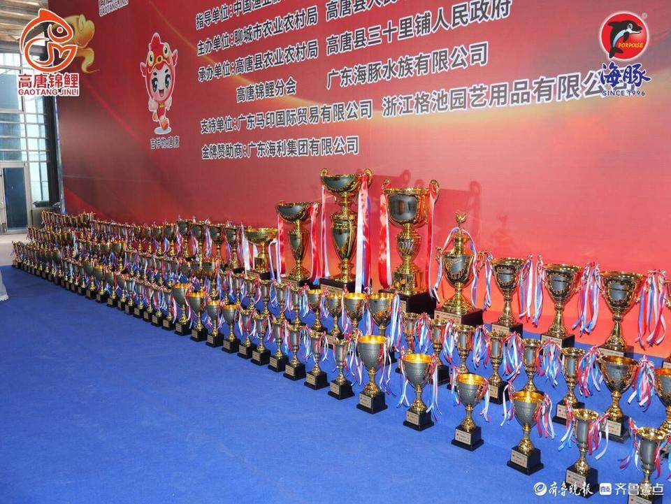 2000 余尾锦鲤同台比美，角逐 300 余个奖项，这场视觉盛宴你怎能错过  第5张