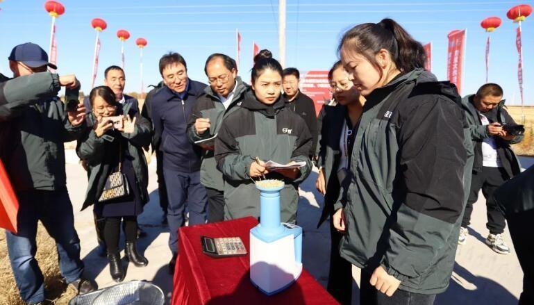 1.6 万亩重度盐碱地水稻平均亩产竟达 636 公斤  第2张