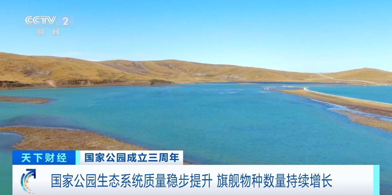 三年！国家公园生态保护成效显著，大熊猫等旗舰物种数量持续增长  第4张