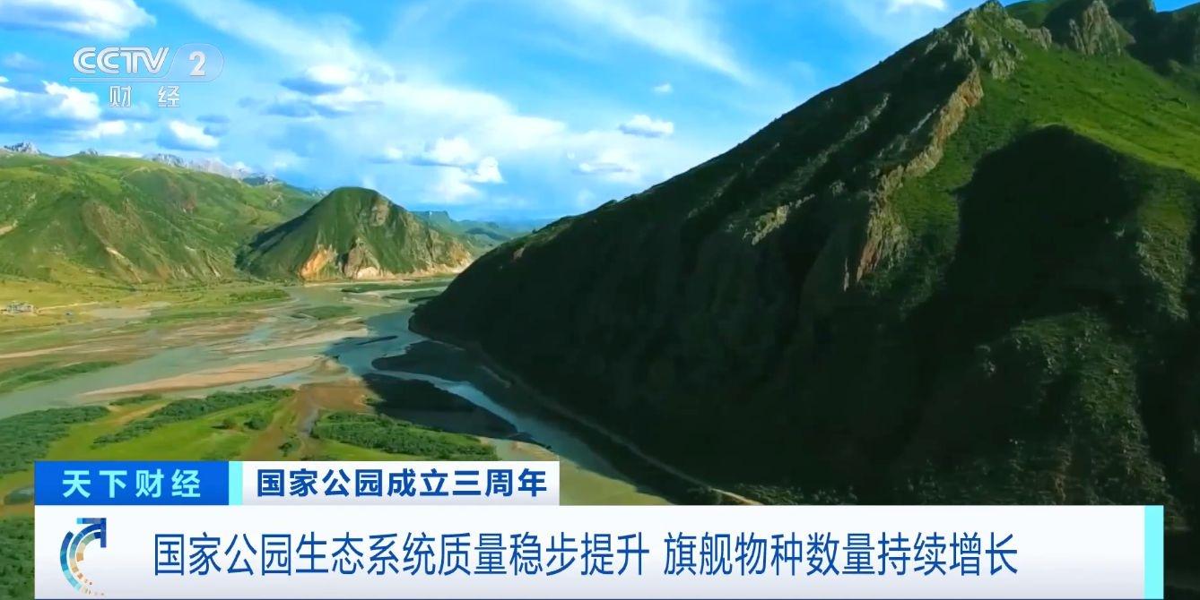 三年！国家公园生态保护成效显著，大熊猫等旗舰物种数量持续增长  第5张