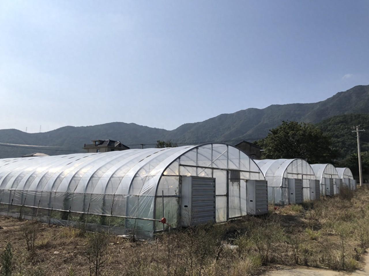 220 万投资！海岛蔬菜保供能力大提升，手机遥控放风浇水不是梦  第1张
