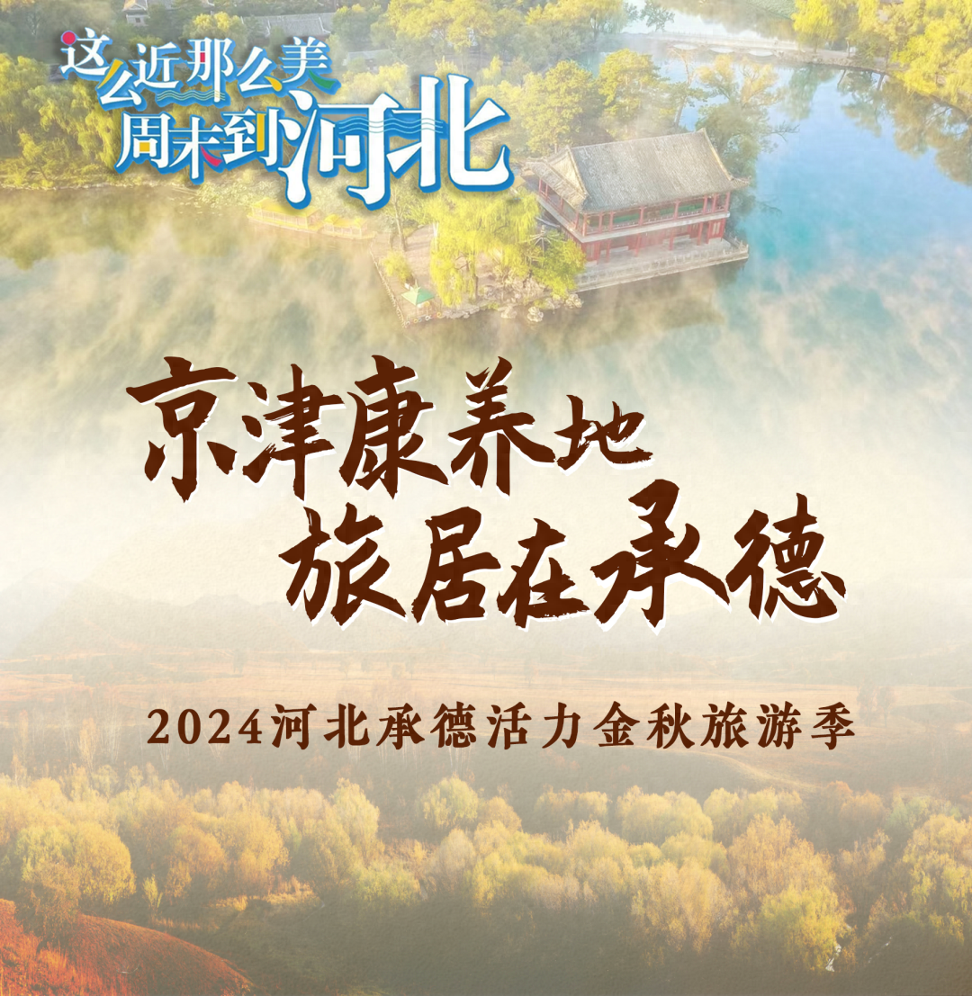 14 名匠人齐聚！500 米长马铃薯粉条，刷新吉尼斯世界纪录  第1张
