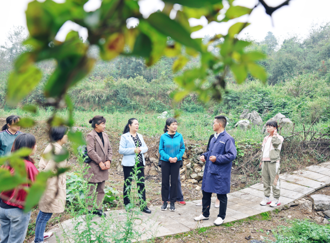 贵州省乡村振兴巾帼农业科技专家服务团启动，助力妇女撑起半边天  第2张