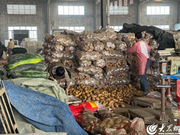 秋菜重出江湖，你开始囤了吗？