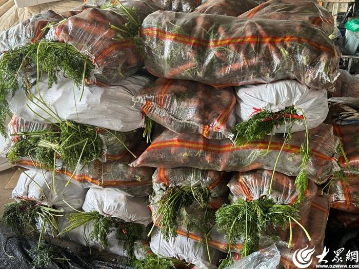 秋菜重出江湖，你开始囤了吗？  第5张