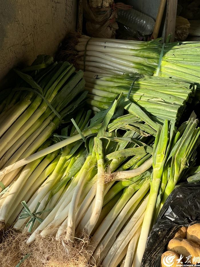 秋菜重出江湖，你开始囤了吗？  第6张