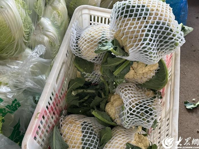 秋菜重出江湖，你开始囤了吗？  第7张