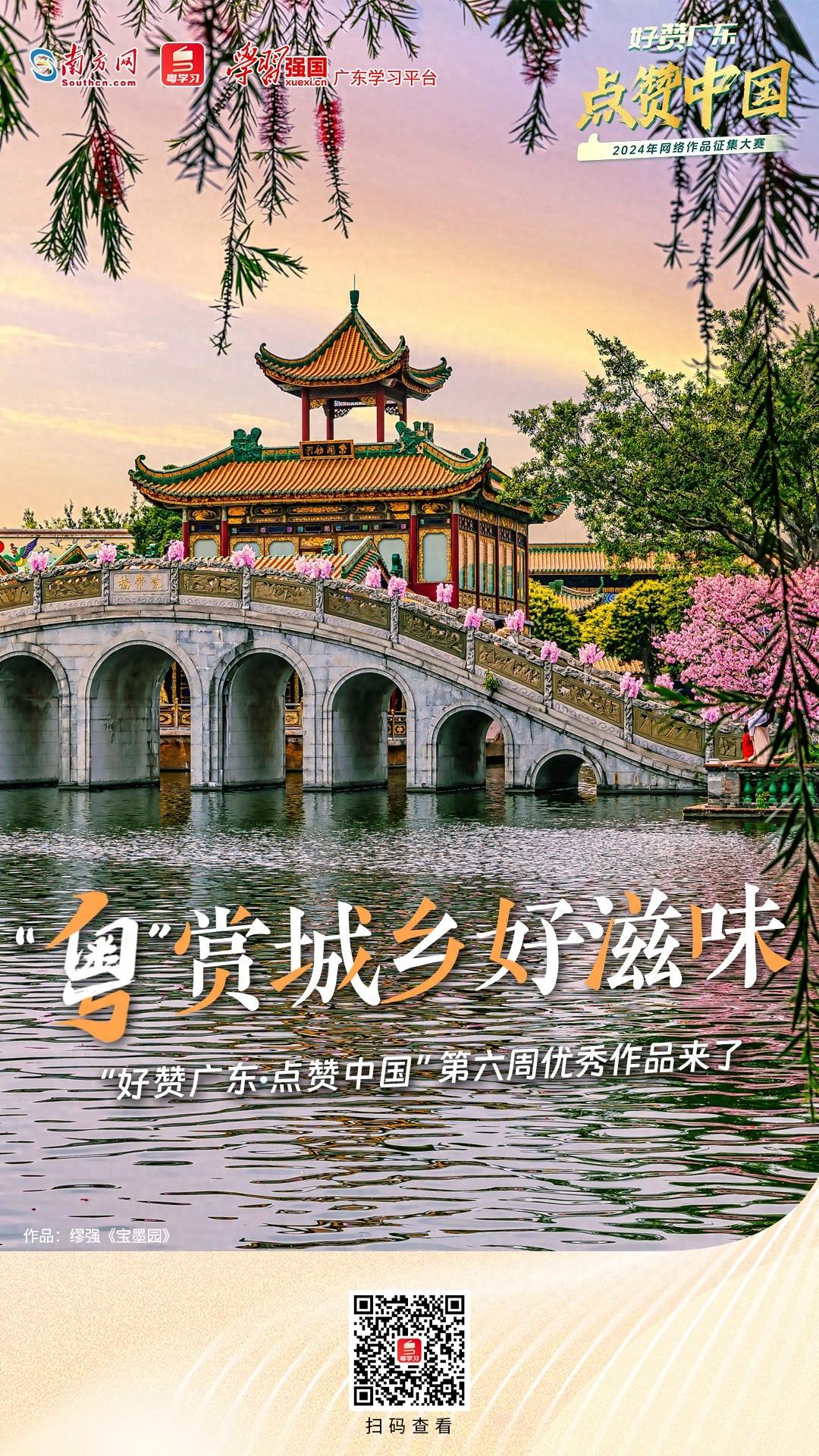 城乡记忆：从凤凰花开到宝墨生辉，探寻独有的人文与自然之美  第1张