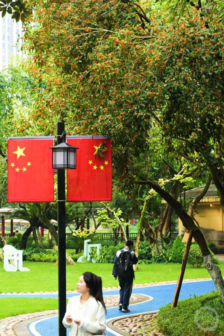 重庆今年已上新 12 条爱老敬老公交线路，实力宠老  第2张