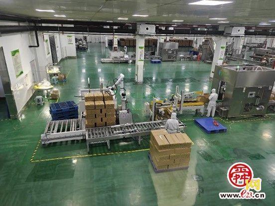 这家台商独资企业如何通过智能化升级与科技创新，实现产值 4.3 亿？  第2张