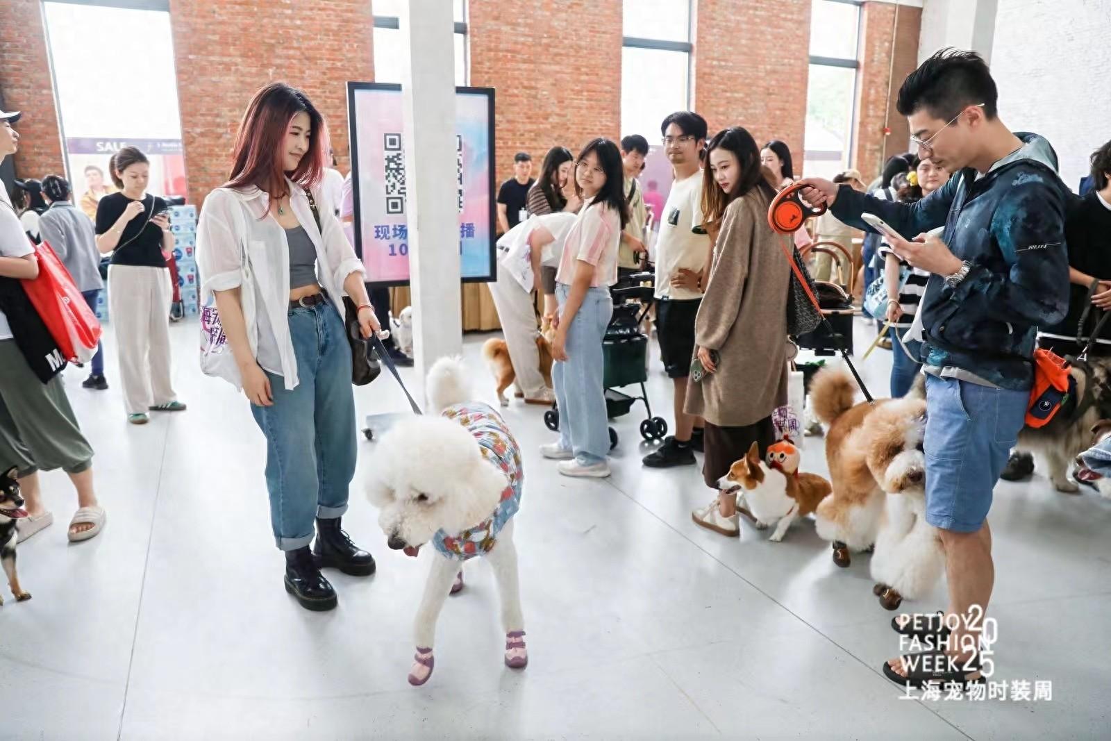 第三届上海宠物时装周来袭！100 家展商、14 场发布，宠界时尚大秀等你来