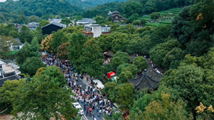 6 万人次！杭州满觉陇桂花飘香，网红柿子树火了