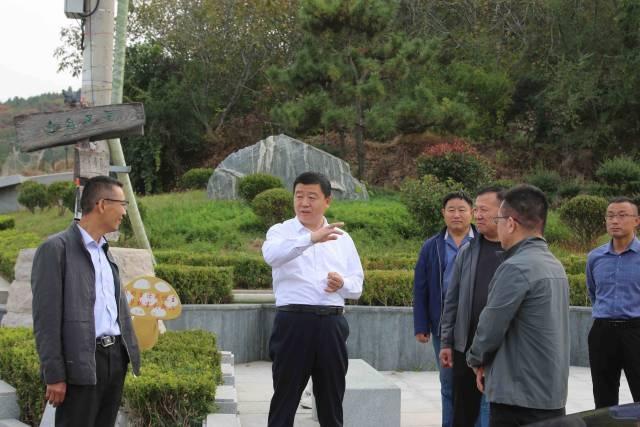 区委宣传部领导带队调研五峰山街道宣传思想文化工作，成果获充分肯定  第3张
