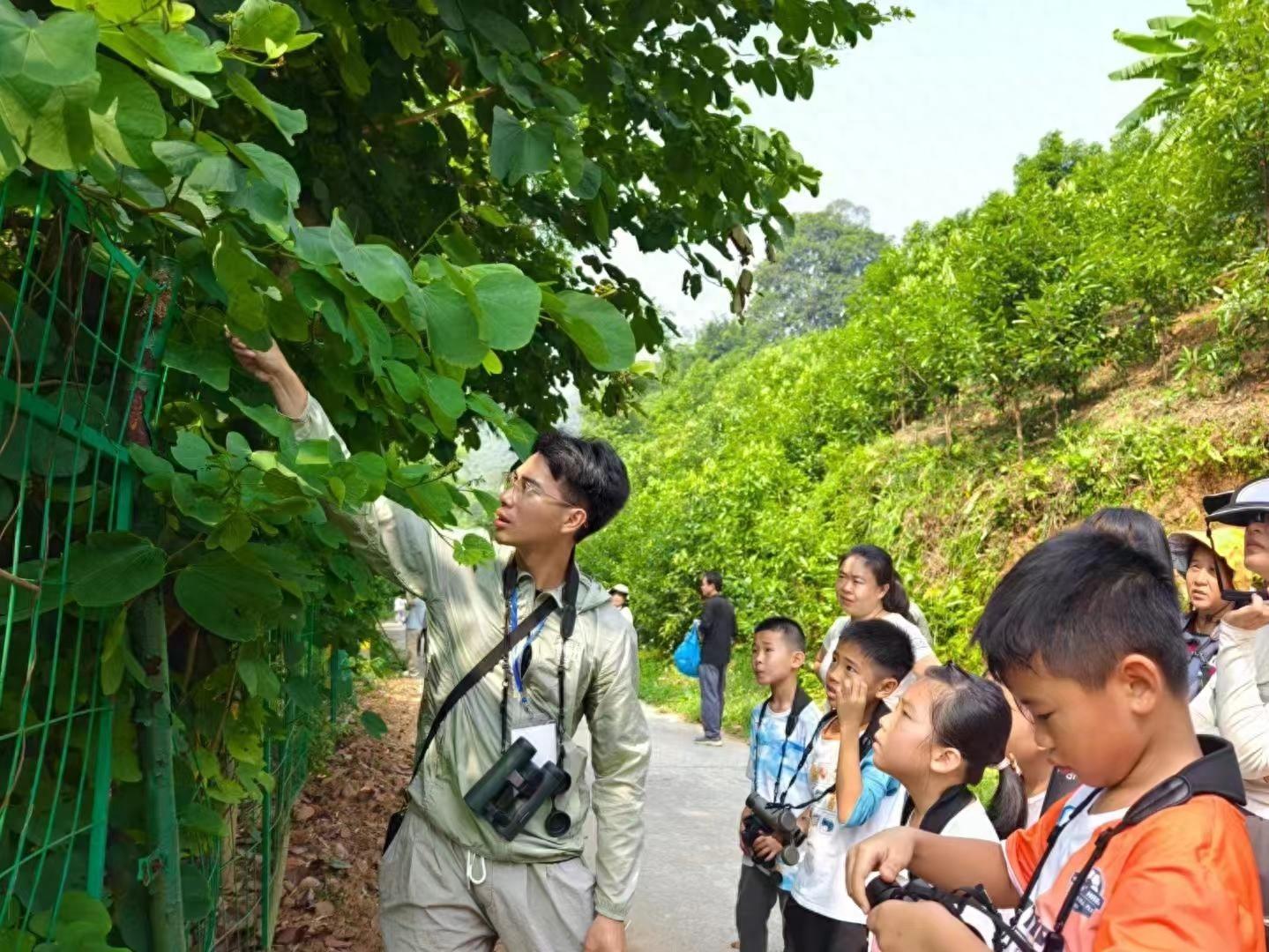 广东郁南大河国家湿地公园竟举办了这样的活动