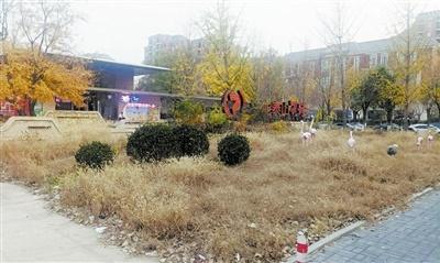 津南鲁能文德花园售楼处变身游泳健身中心，荒草丛生垃圾遍地，业主直呼太闹心  第1张