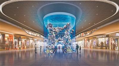 白云机场 T3 航站楼将建水族馆，2000 条鱼等你来