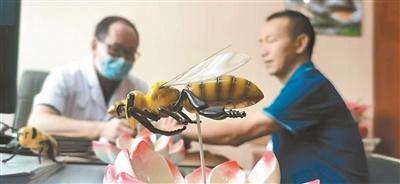 蜂针疗法传承千年，入选非遗名录，你了解吗？  第2张