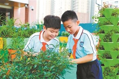 广州教育数字化转型：探索新路径，赋能高质量发展  第1张