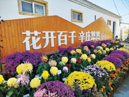 百村示范、千村振兴工程，昌平区打造莓好山水兴寿示范片区，助力乡村振兴  第1张