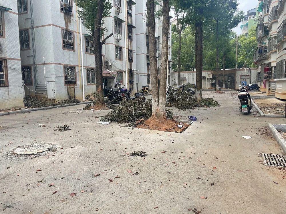 小区旧改，毁绿建停车场引争议，居民盼有更好方案  第4张