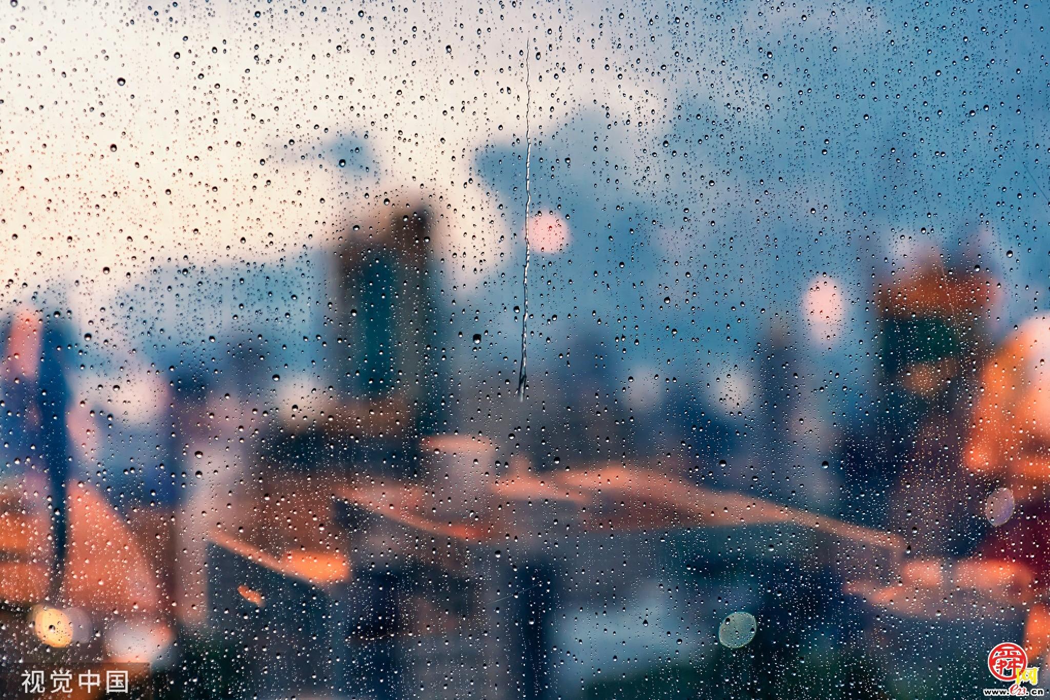11 月 12 日山东多地浓雾来袭，你那里还好吗？  第1张