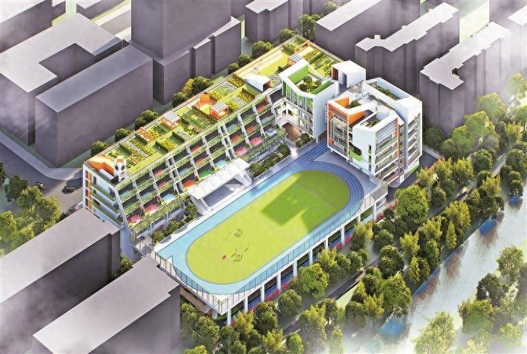 深圳又一九年一贯制学校即将拔地而起，你期待吗？