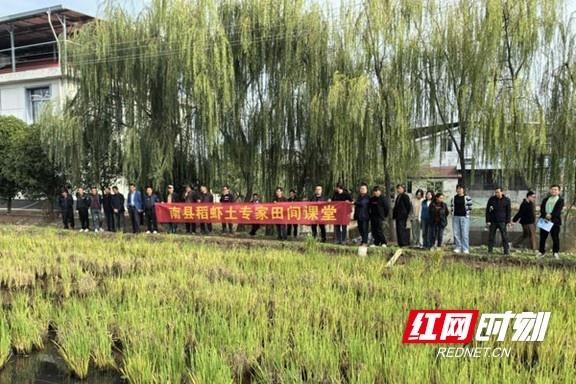 南县开展稻虾连作技术培训，助力村民增产增收  第2张