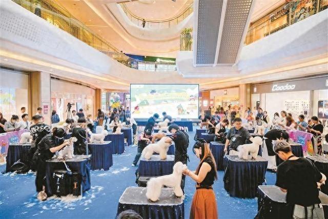 2024 年深圳技能大赛宠物美容师竞赛圆满落幕，选手们技艺精湛，宠物们可爱爆表  第1张