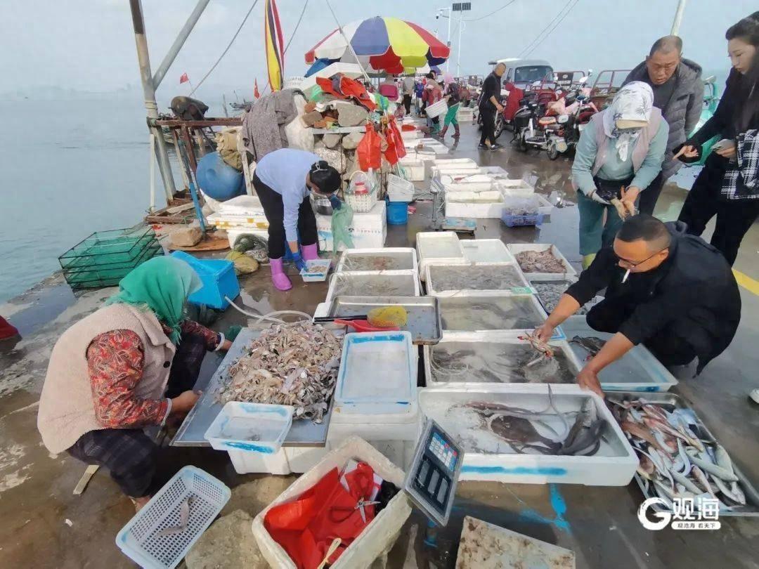 青岛小海鲜新鲜上市，错过等一年