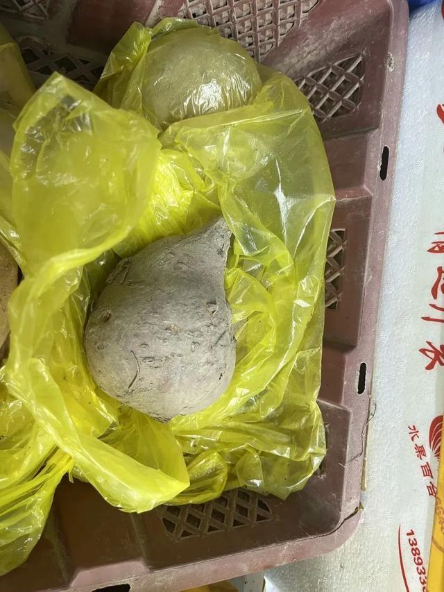冬笋价格大跳水！从贵过大闸蟹到亲民价，你还在等什么？  第5张