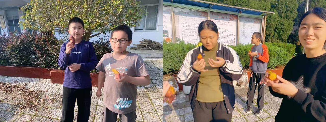 天台县南屏学校组织‘灶’趣无穷‘薯’你最乐劳动实践活动  第6张