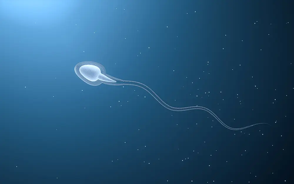 RNA 调控竟与男性不育有如此紧密的联系  第2张