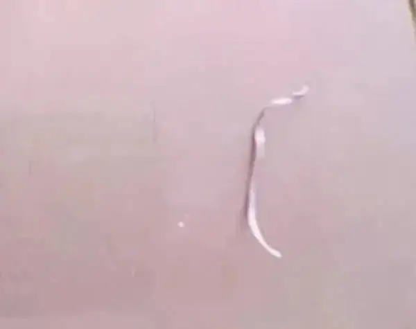 全新未开封奶粉竟现异物，是质量问题还是有人故意为之？  第3张