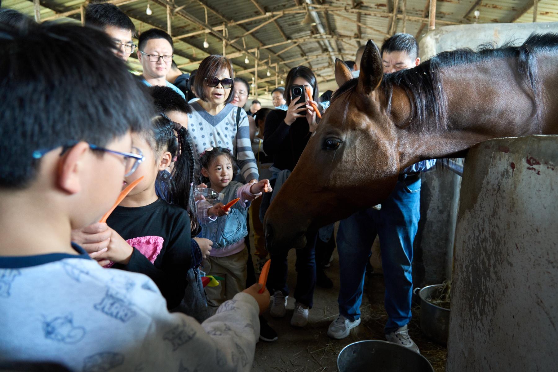 中邮保险湖北分公司携手邮储银行武汉市分行，举办第八届客户服务季活动，你参加了吗？  第3张