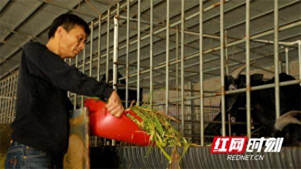 江永县：立足生态优势，奏响绿色产业链增收致富曲  第1张
