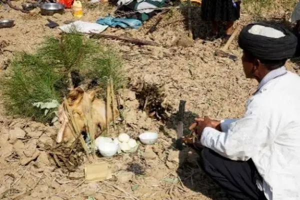 他留人传统种植方式：撒水秧，你听说过吗？  第4张